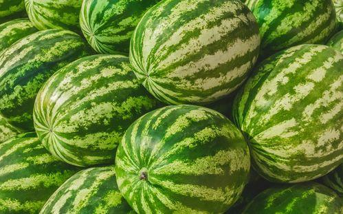 吃瓜网每日大赛 反差吃瓜爆,揭秘明星们的双重魅力